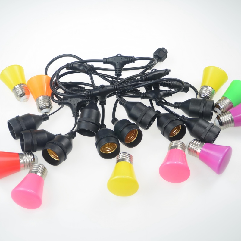 Customizable holiday decoration festoon lighting